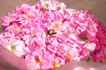 Private day tour from Sozopol to Kazanlak, the Valley of the Thracian Kings, Shipka monument and Shipka memorial church